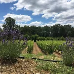 La Casina Nel Vigneto Larciano