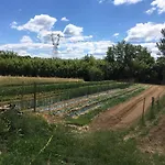 La Casina Nel Vigneto Appartement *