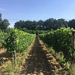 Appartement La Casina Nel Vigneto