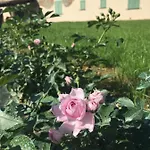 La Casina Nel Vigneto Appartement