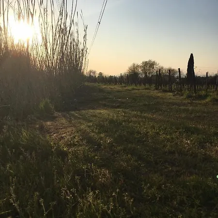 La Casina Nel Vigneto 아파트 Larciano