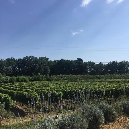 La Casina Nel Vigneto 아파트