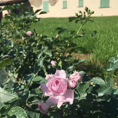La Casina Nel Vigneto 아파트