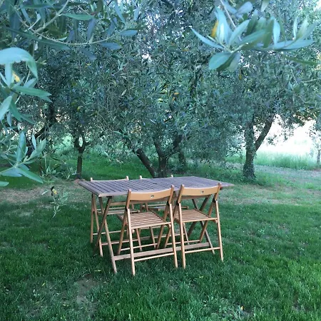 La Casina Nel Vigneto Larciano