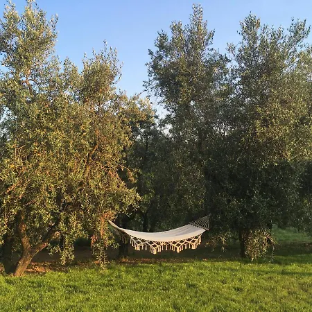 La Casina Nel Vigneto * Larciano