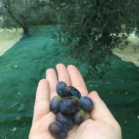 La Casina Nel Vigneto *