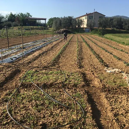 La Casina Nel Vigneto